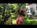 Backyard tour of Florida plants that last.