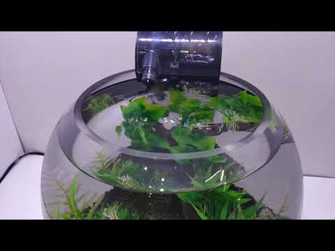 Video: Si Të Ndryshoni Ujin Për Peshqit Në Një Akuarium