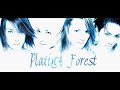 PlatinA Forest - 天界のオーロラ~AURORA HEALING