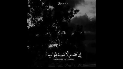 القارئ رأفت الهتاري