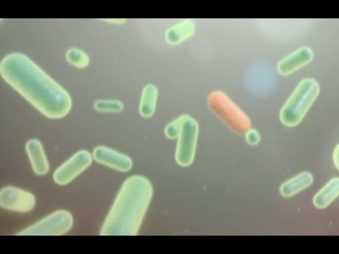 Videó: Az Antibiotikumok Igazságos és Fenntartható Felhasználása Felé