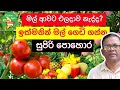 ඉක්මනින් එලදාව ගන්න හොඳම පොහොර | Organic Fertilizer | Ceylon Agri Kabanika Pohora | Episode 01