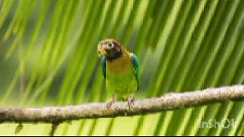 المعوذتين مكرر لرقية البيت و الأطفال #المعوذتين القرآن الكريم سورة الفلق سورة الناس سورة الاخلاص