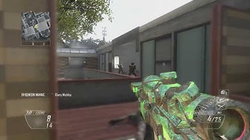 Call Of Duty: BO2 4 Man Feed FFA