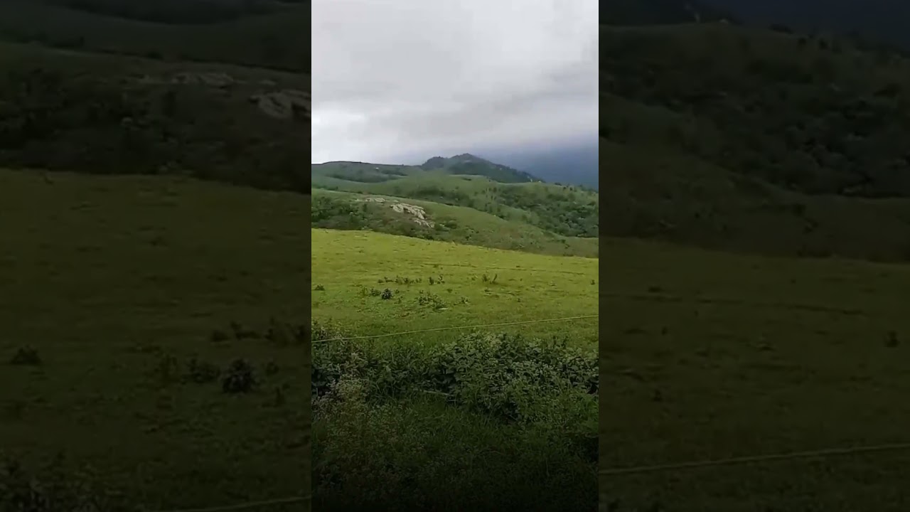 Art of nature ⛰️🍃.               