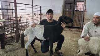 Uy qurilishi rus mast porno Keksa ayolning klitorini sorish