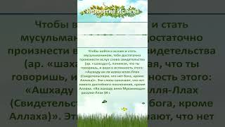Как произнести шахаду. Как принять ислам
