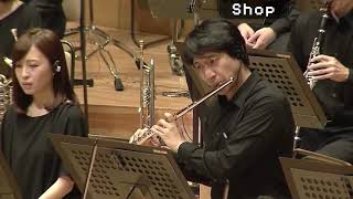 Download Lagu Shop || Undertale Orchestral MP3 Download Lagu Shop || Undertale Orchestral MP3