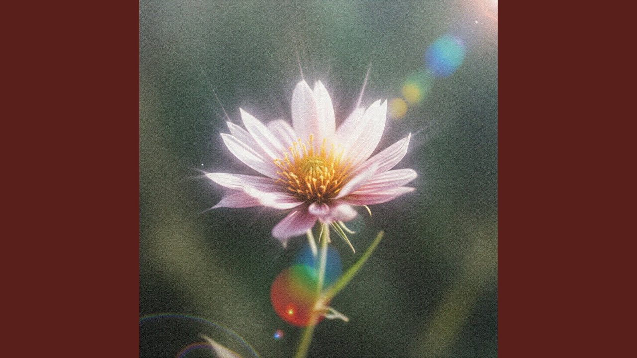 Introspective Coding Music