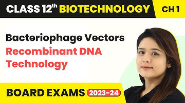 Bacteriophage Vectors - Recombinant DNA Technology | Class 12 Biotechnology Chapter 1