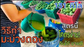 วิธีทํามะม่วงดอง ทำง่าย อร่อยด้วย |เกษตรยามว่าง by ป้าเทียน|