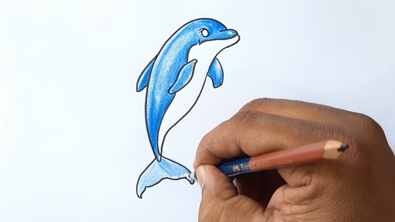 How to draw cute dolphin