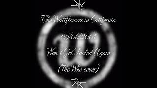 Watch Wallflowers Wont Get Fooled Again video