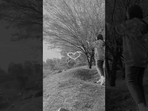 اللي بعنا خسر دلعنا راغب علامه ايفون