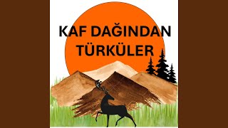 Zülüf Dökülmüş Yüze Resimi