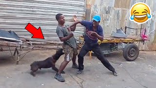 OS CACHORROS MAIS FILAS DA PUT@ QUE EXISTE 🤣🤣