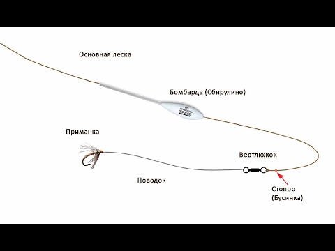 Ловля на сбирулино- бомбарду теория и практика. Catching on sbirulino, theory and practice. Ловля на сбирулино- бомбарду теория и практика. Catching on sbirulino, theory and practice.
