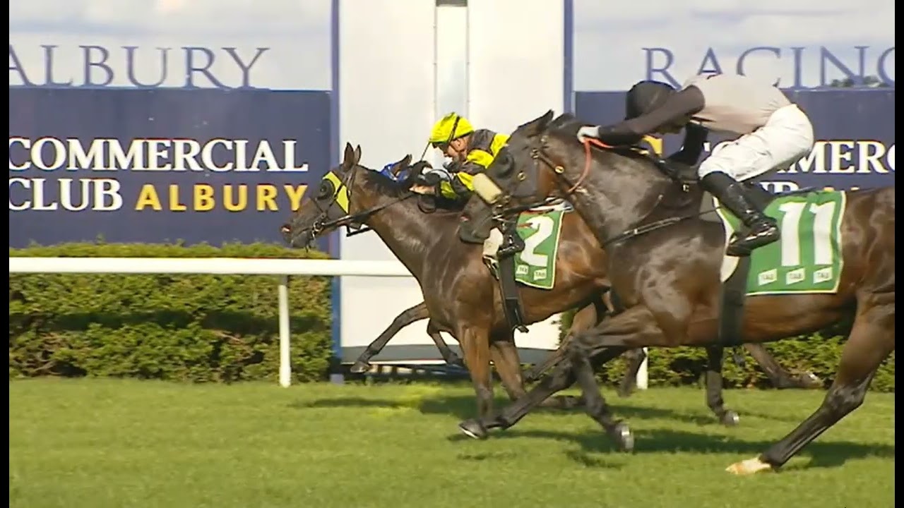 RACE 7 - ALBURY - AUSTRALIA  23 FEB 2026