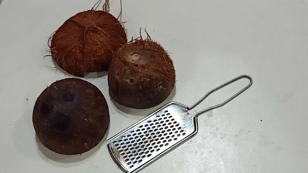 Coconut Shells Activity || Dancing Doll || by Mrudula's Creativity