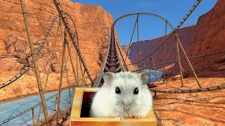 Hamster on Roller Coaster Valley 🐹 ローラー コースター バレーのハムスター