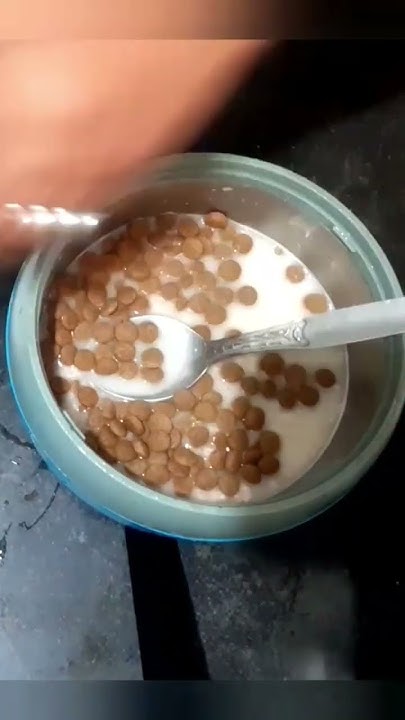 making-breakfast-for-dog-home-cooked-food-dog-doghealth-food