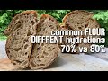 Common WEAK FLOUR, sourdough bread test. 70% vs 80% | by JoyRideCoffee