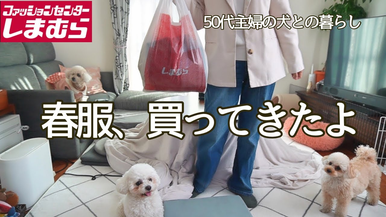 【しまむら購入品】春服購入品紹介 / 50代主婦の日常 / 犬のいる暮らし