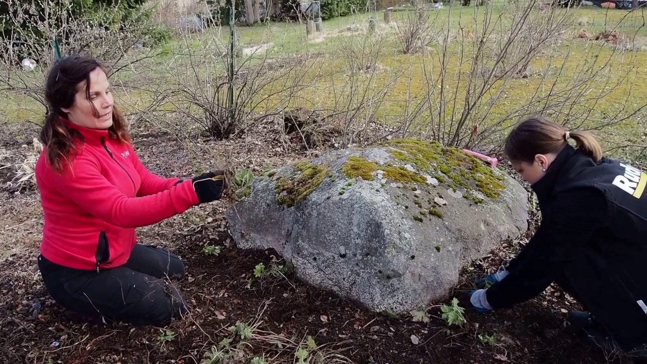 Puutarhahaaste: osa 4/5 KITKEMINEN, NURMIKON ILMAUS JA LANNOITUS