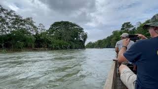 Embera Indians Transporting Migrants Through Darien Gap -- Part of Controlled Flow Program