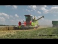 Claas Dominator 58 SPEZIAL beim Weizen dreschen! [HD]