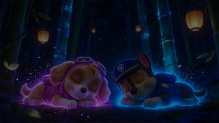 NO ADS Paw Patrol Deep Forest Dreams 🌲 | Peaceful Piano Music
