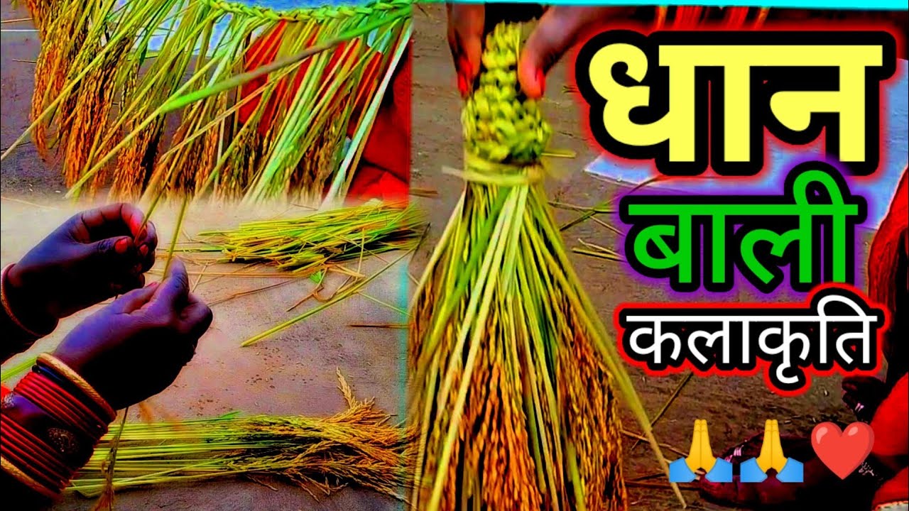 Dhan Design Dhan Design Craft ||धान बाली डिजाइन||देसी धान बाली कलाकृत ☺️ - YouTube