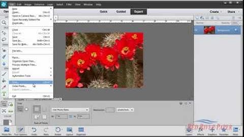 Using printer color profiles Photoshop Elements 11 12 HP Windows