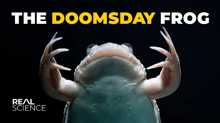 The Frog That Unleashed the World’s Most Lethal Pathogen