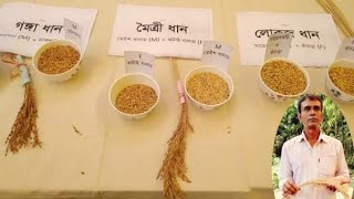 Rice cross Breeding  • 398k Views • 10rs Ago ...