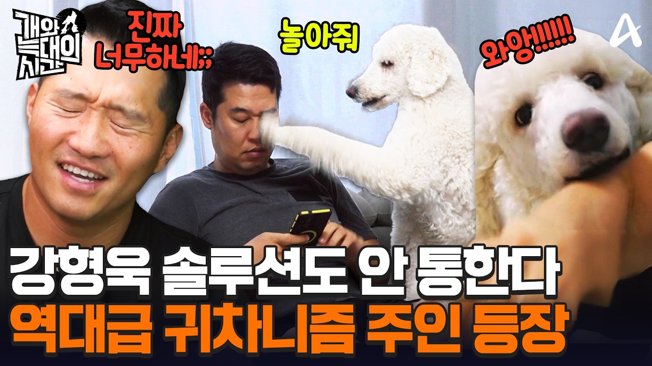 대형견인데 일주일에 3번만 산책?😱 강형욱 솔루션도 안 통하는 역대급 귀차니즘 견주💢ㅣ개와 늑대의 시간