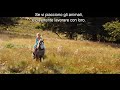 Cenerentola - Lavorare con gli animali - Pod dal film | HD