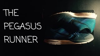 Nike On Feet Review! Running Blue Pegasus 30 (HD)