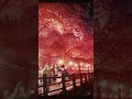僕らの雨いろプロトコル ED somei - Another Complex #Shorts