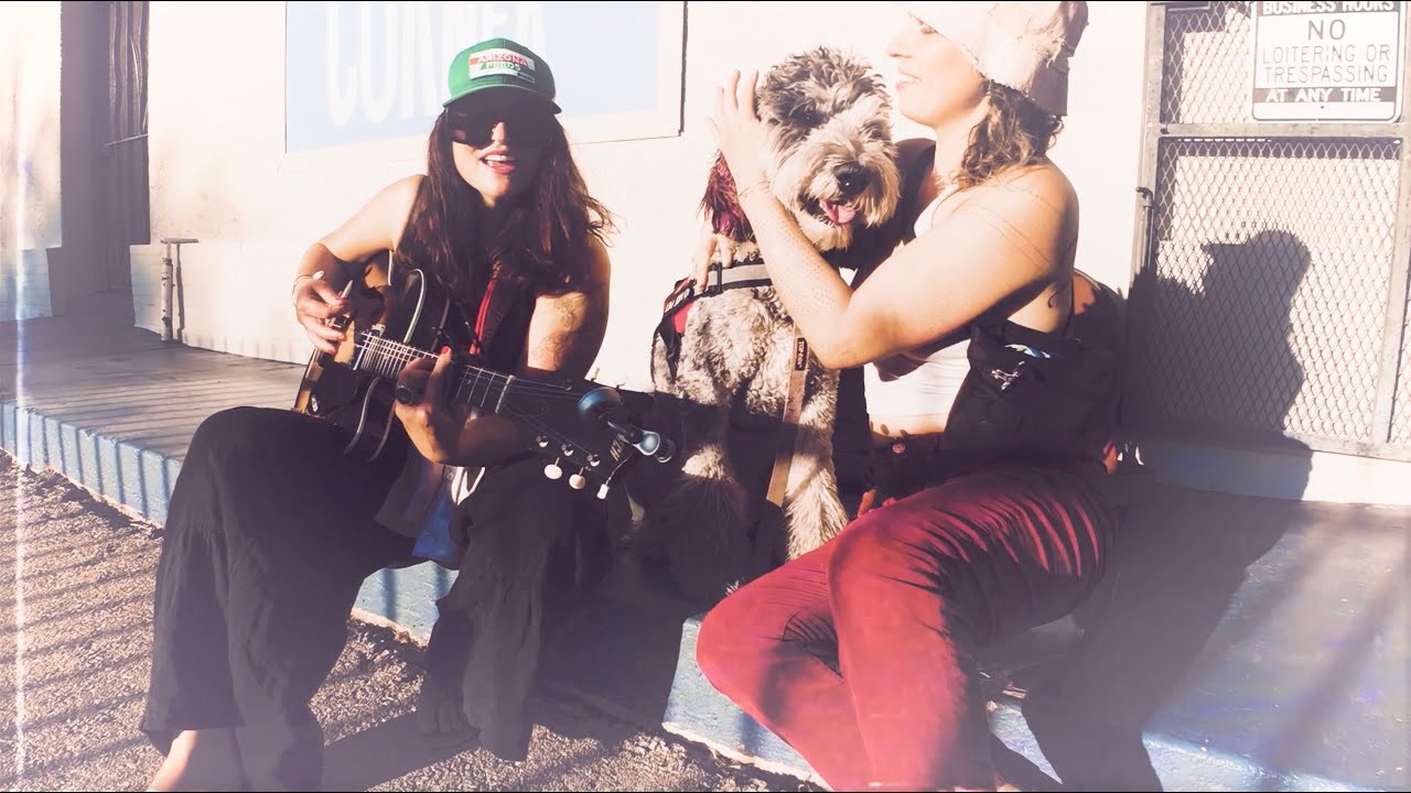 Summer Losers (Official Music Video)