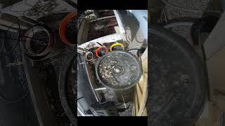 AI Schedules Seed Drops Like Software Releases - 05 April 2026 #homelab #garden #shorts