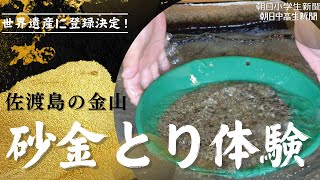 砂金　佐渡島 砂金佐渡島
