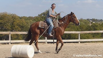Peptos Playin CD - roping! - ValleyViewRanch.net