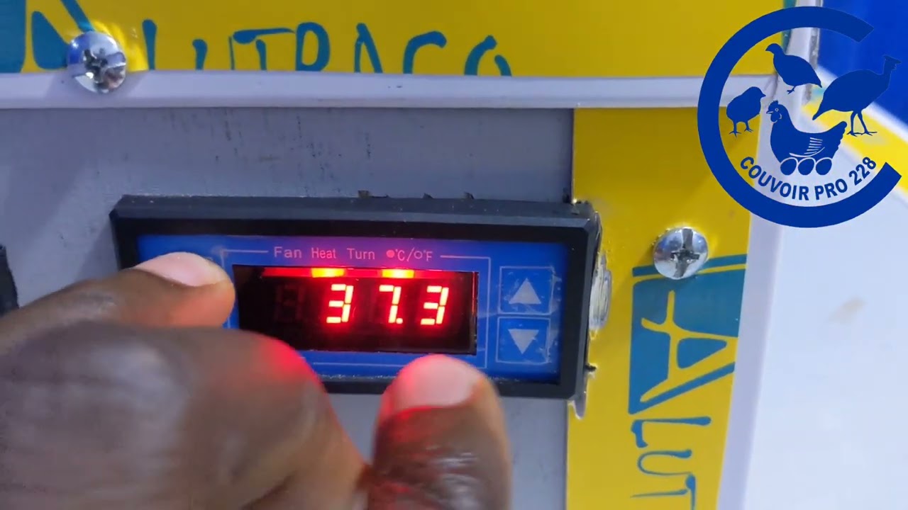 Programmation du thermostat automatique WKF