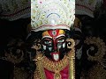 मां मरघट कालिका जी के दर्शन #Guru#maa#ka#ladla#kalka#navdurga#darbar#roorkee #viralvideos