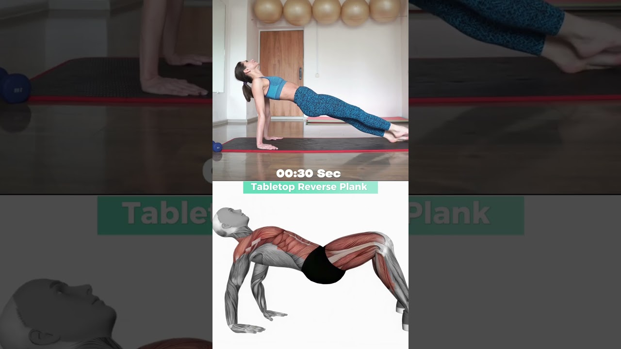 Fitness Goal | Day - 9