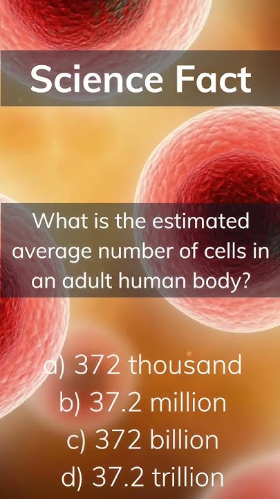 What Is The Estimated Average Number Of Cells In An Adult Human Body what-is-the-estimated-average-number-of-cells-in-an-adult-human-body