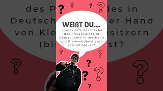 🇩🇪 Wieviel Wald gehört privaten Waldbesitzern? #forstwirtschaft