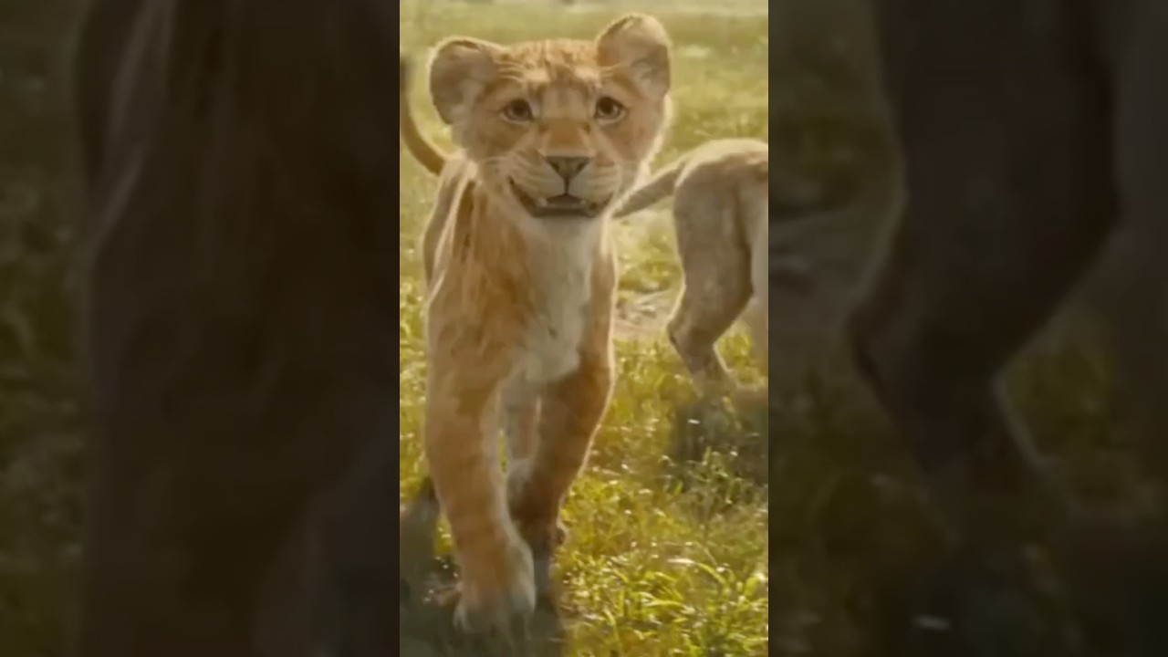 Mufasa: The Lion King | Before the Pride!