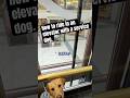 Elevator Training and Etiquette for Service Dogs